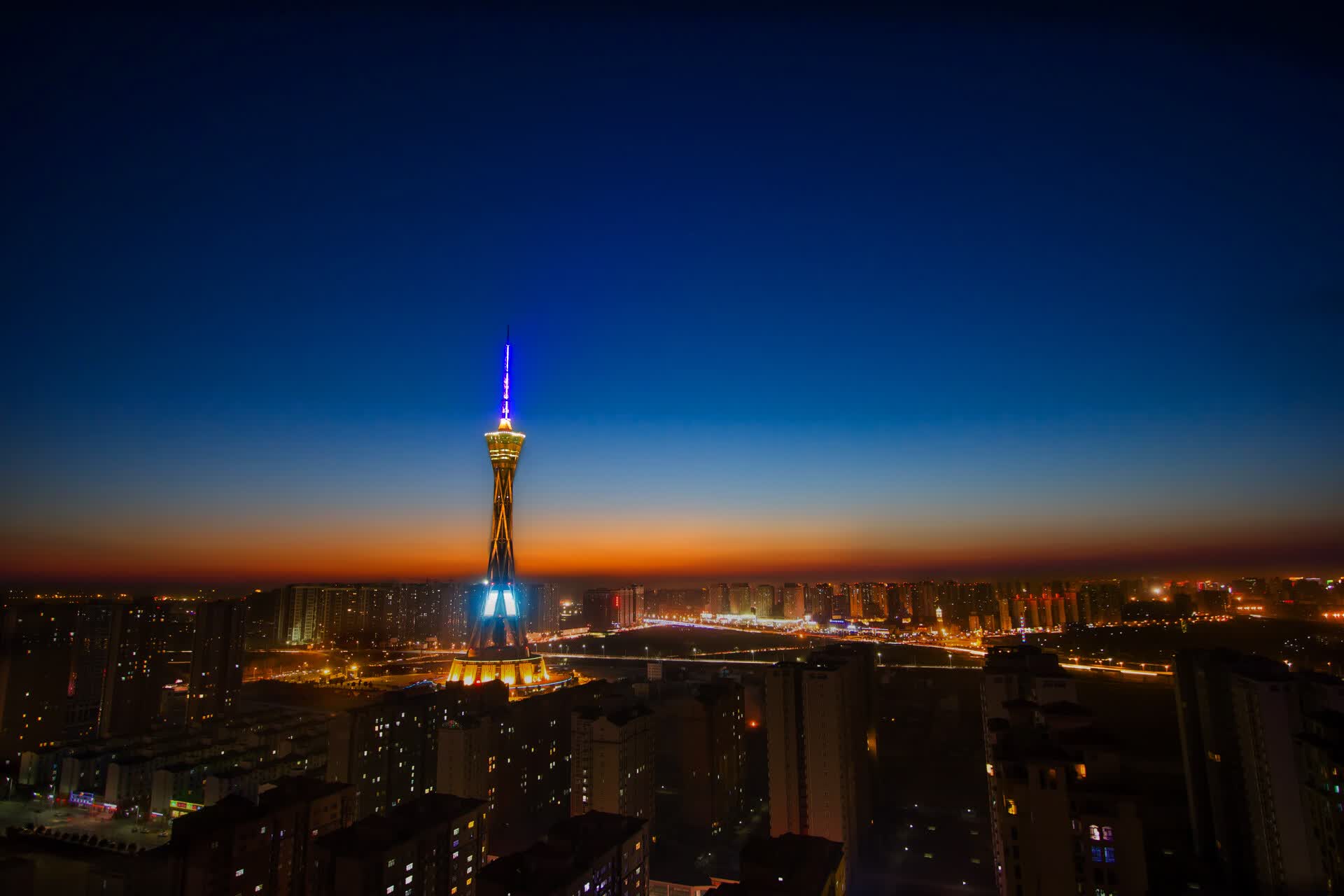 世界游泳裁判评分透明化平台：数据公开与申诉流程，游泳裁判员查询官网